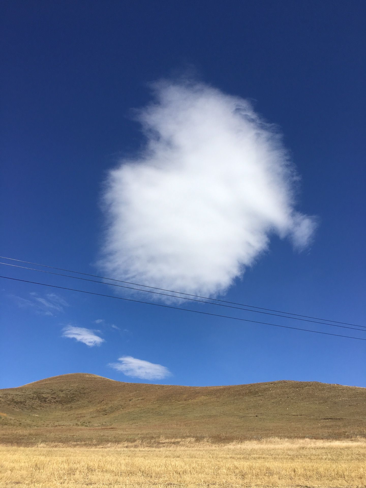 9月暢游豐寧壩上草原